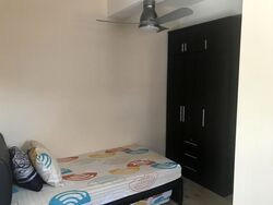 Sennett Estate (D13), Terrace #635072521